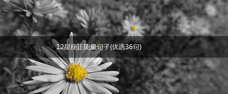 12星座正能量句子(优选36句),第1张