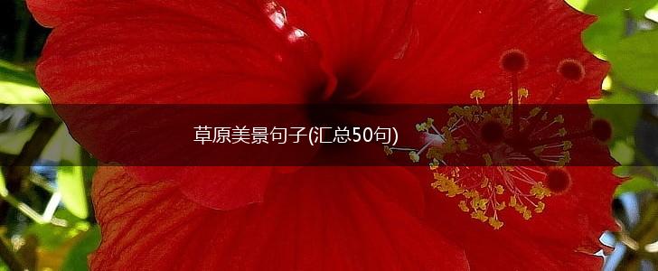 草原美景句子(汇总50句),第1张