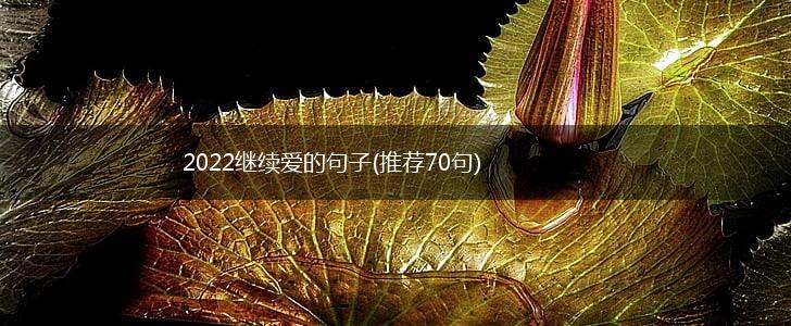 2022继续爱的句子(推荐70句),第1张