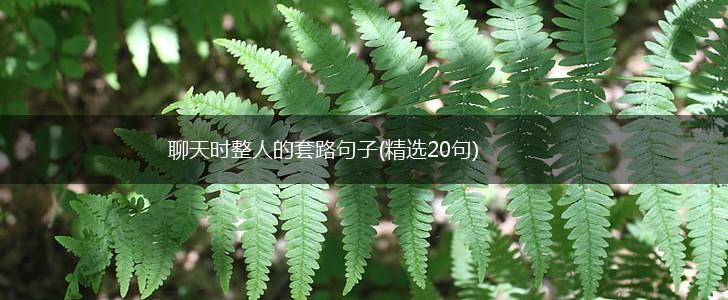 聊天时整人的套路句子(精选20句),第1张