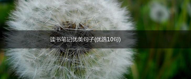 读书笔记优美句子(优选10句),第1张