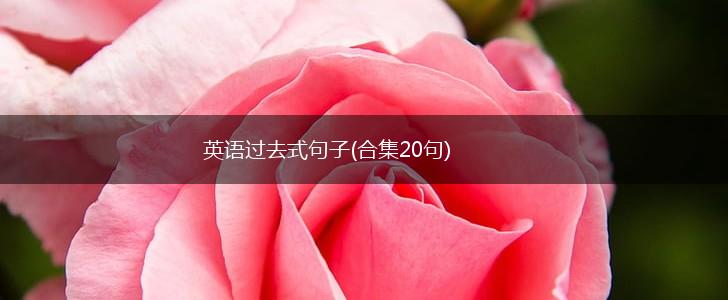 英语过去式句子(合集20句),第1张