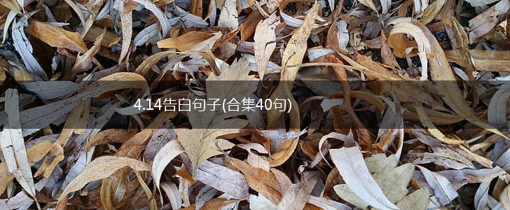 4.14告白句子(合集40句),第1张