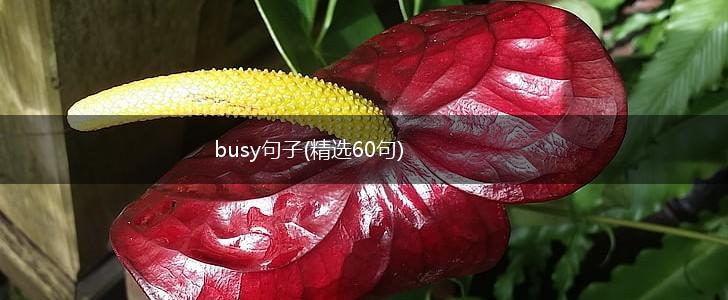 busy句子(精选60句),第1张