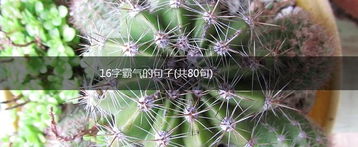16字霸气的句子(共80句),第1张