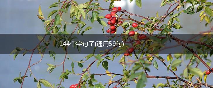 144个字句子(通用59句),第1张