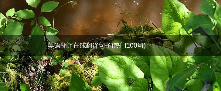英语翻译在线翻译句子(热门100句),第1张