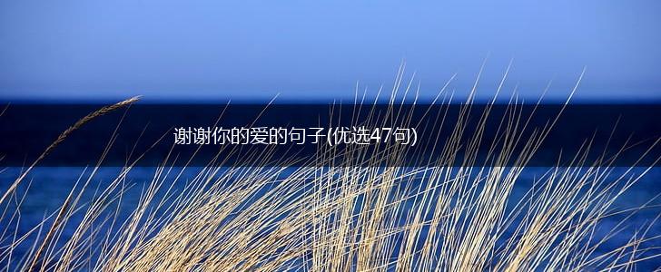 谢谢你的爱的句子(优选47句),第1张