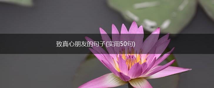致真心朋友的句子(实用50句),第1张