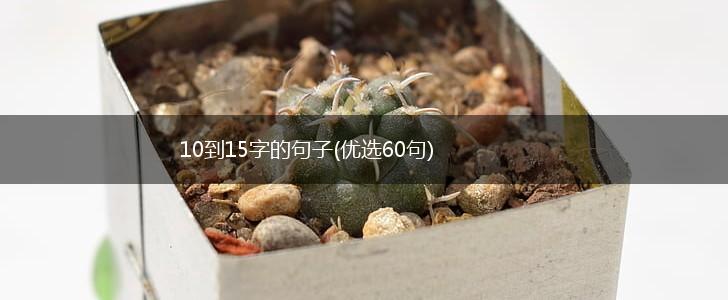 10到15字的句子(优选60句),第1张