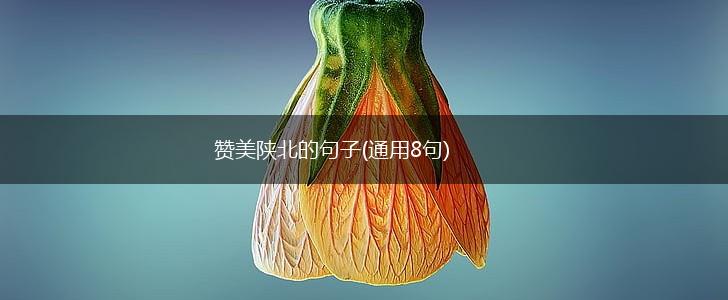 赞美陕北的句子(通用8句),第1张