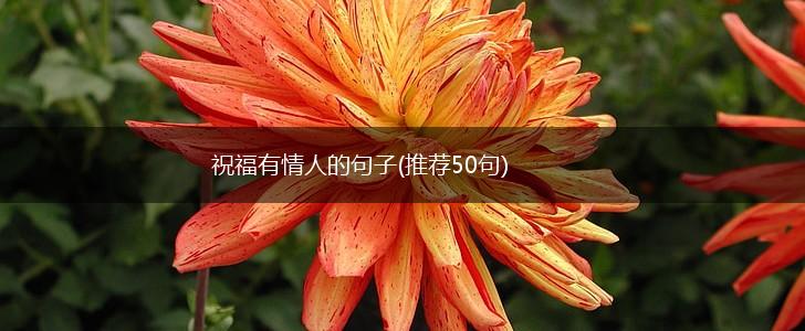 祝福有情人的句子(推荐50句),第1张