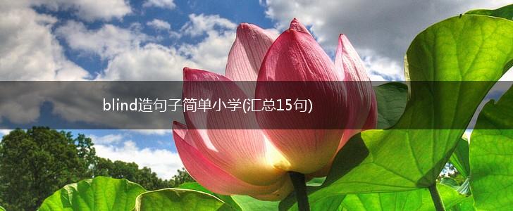 blind造句子简单小学(汇总15句),第1张