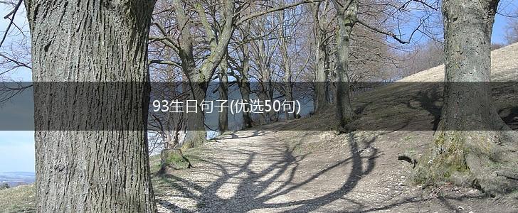93生日句子(优选50句),第1张