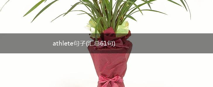athlete句子(汇总61句),第1张