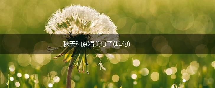 秋天和茶精美句子(11句),第1张