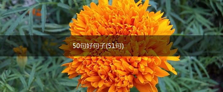 50句好句子(51句),第1张