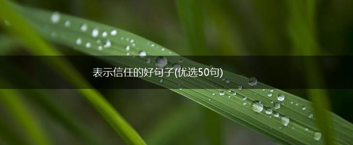 表示信任的好句子(优选50句),第1张