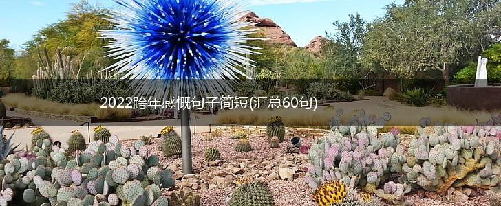 2022跨年感慨句子简短(汇总60句),第1张