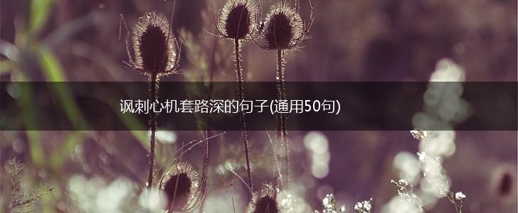 讽刺心机套路深的句子(通用50句),第1张
