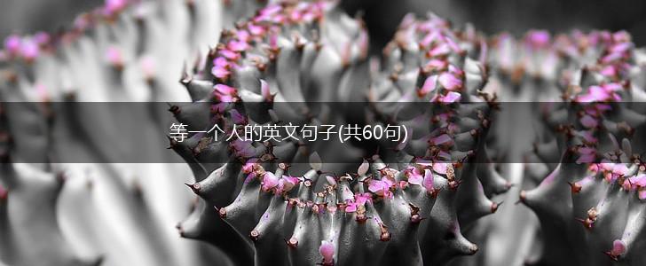 等一个人的英文句子(共60句),第1张