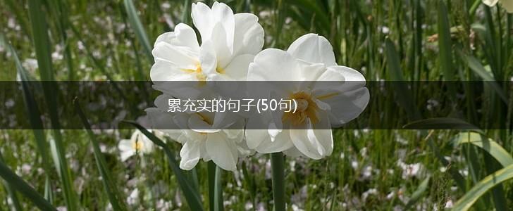 累充实的句子(50句),第1张
