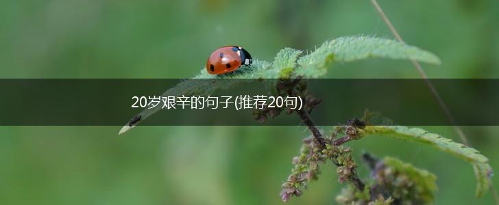 20岁艰辛的句子(推荐20句),第1张