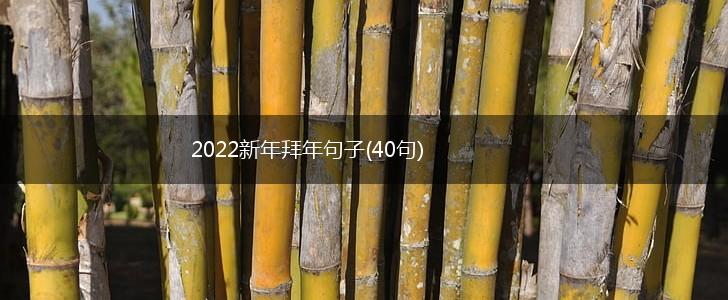 2022新年拜年句子(40句),第1张