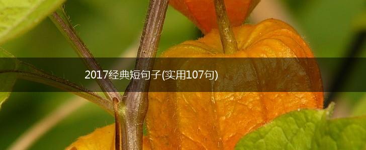 2017经典短句子(实用107句),第1张