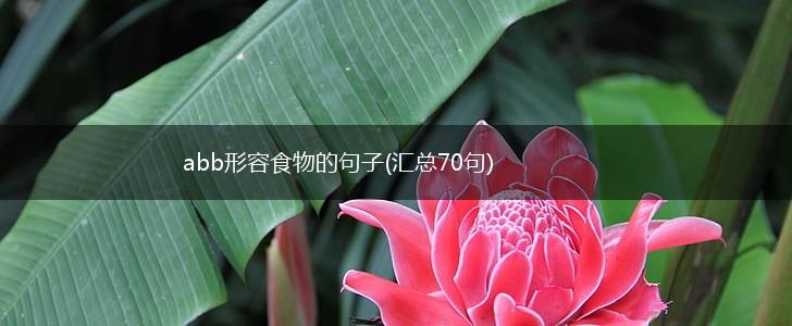abb形容食物的句子(汇总70句),第1张