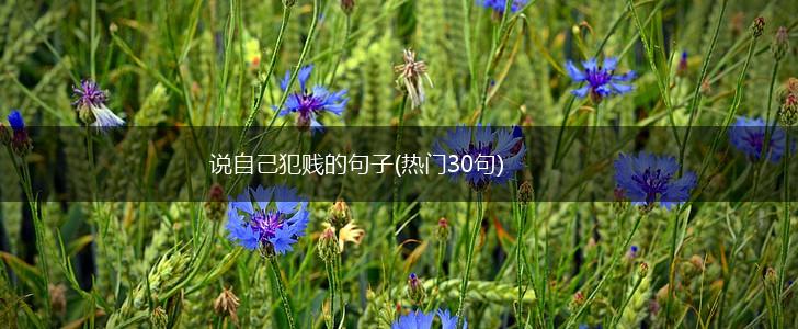 说自己犯贱的句子(热门30句),第1张