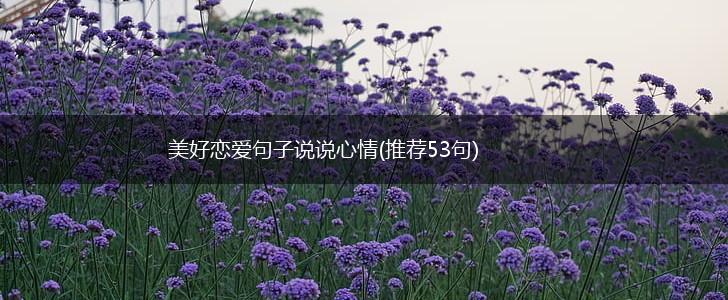 美好恋爱句子说说心情(推荐53句),第1张