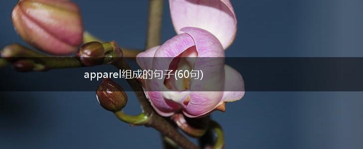 apparel组成的句子(60句),第1张