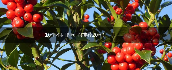 10个不同的句子(推荐20句),第1张