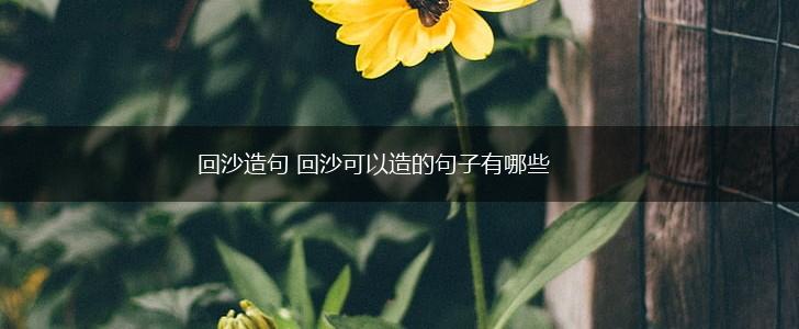 回沙造句 回沙可以造的句子有哪些,第1张