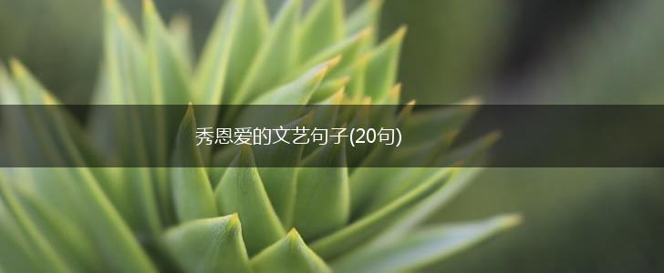 秀恩爱的文艺句子(20句),第1张