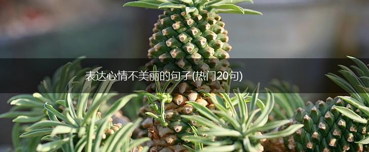 表达心情不美丽的句子(热门20句),第1张