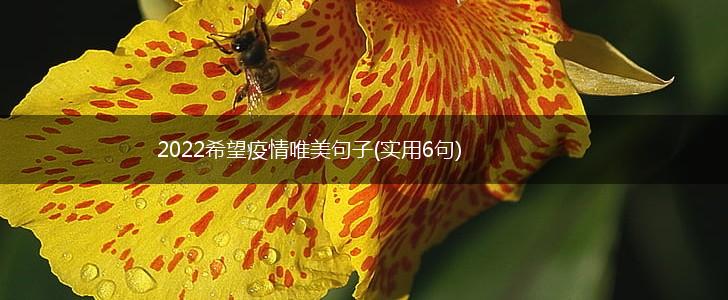 2022希望疫情唯美句子(实用6句),第1张