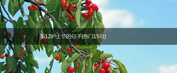 5.12护士节的句子(热门15句),第1张