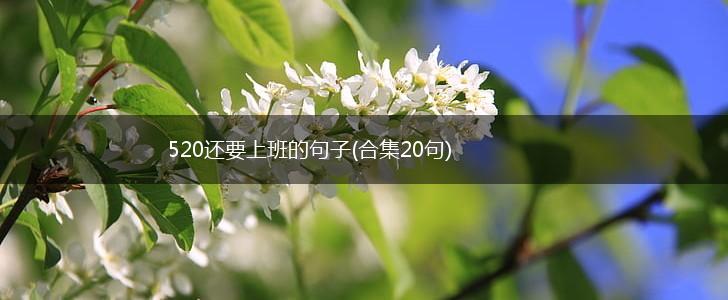 520还要上班的句子(合集20句),第1张