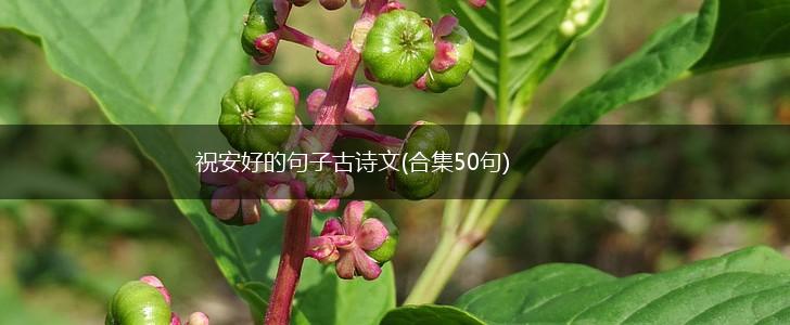 祝安好的句子古诗文(合集50句),第1张
