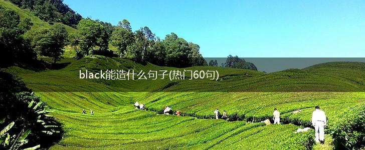 black能造什么句子(热门60句),第1张