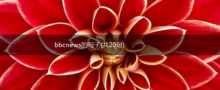 bbcnews的句子(共20句),第1张