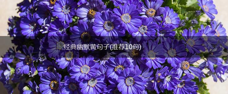 经典幽默黄句子(推荐10句),第1张