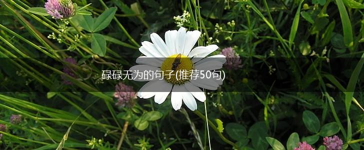 碌碌无为的句子(推荐50句),第1张