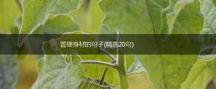 管理身材的句子(精选20句),第1张