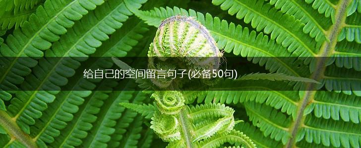 给自己的空间留言句子(必备50句),第1张