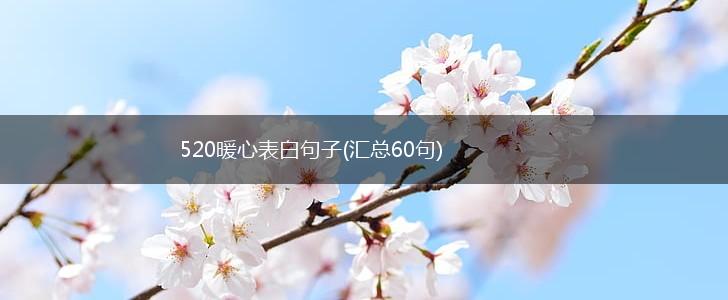 520暖心表白句子(汇总60句),第1张