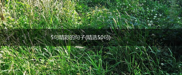 5句精彩的句子(精选50句),第1张