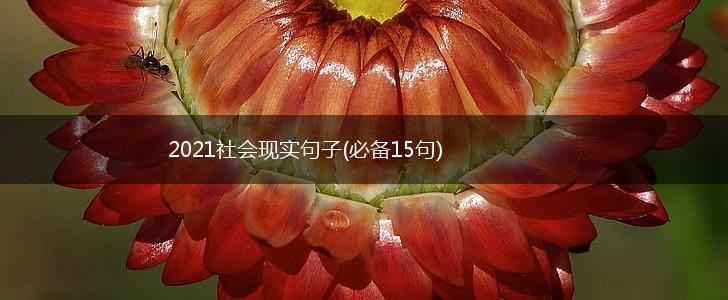 2021社会现实句子(必备15句),第1张
